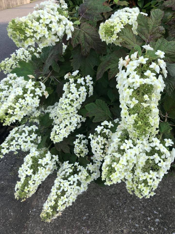 中能登町議会一般質問