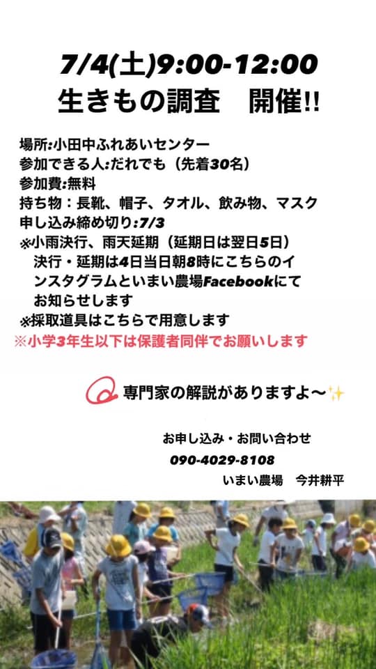 生きもの調査！