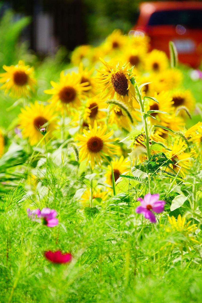 中能登にはこんな素敵なところが沢山あります！