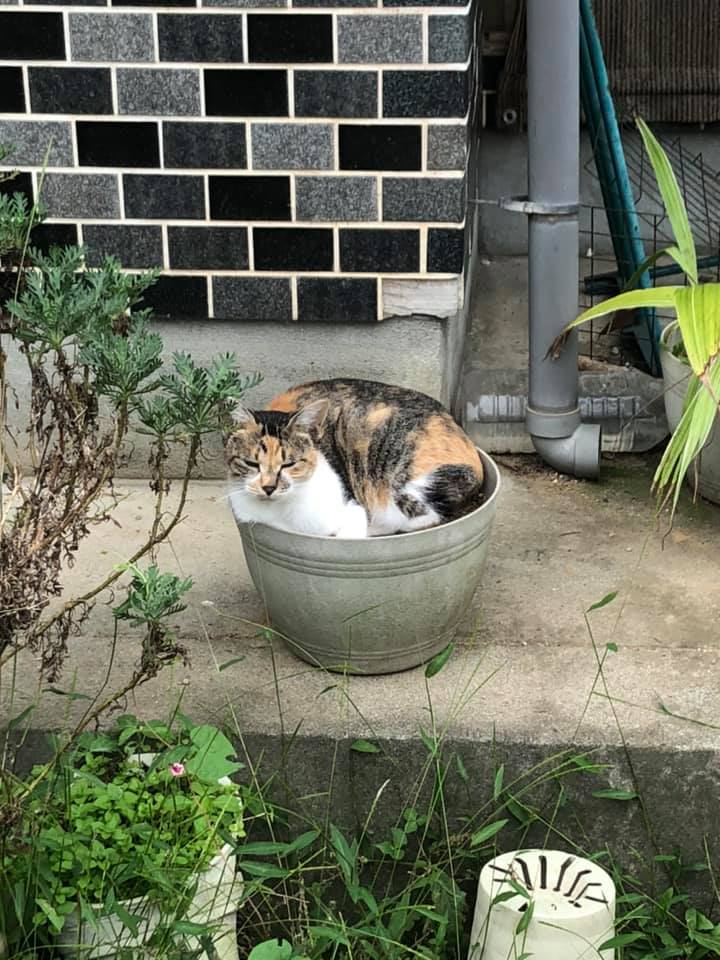 10/19(月)本日もNews Letter配布！