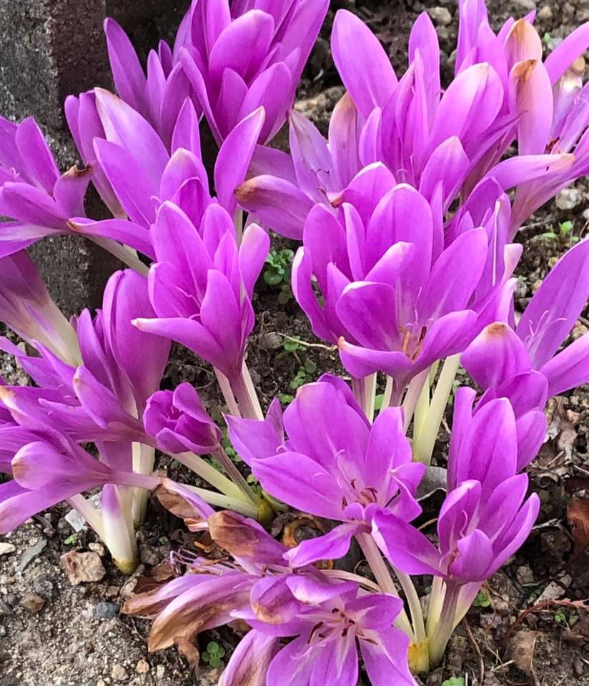 10/26(月)本日もNews Letter配布！