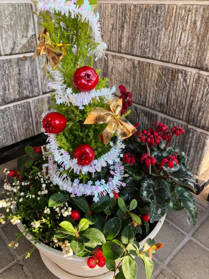 11/17(火)　クリスマスバージョン