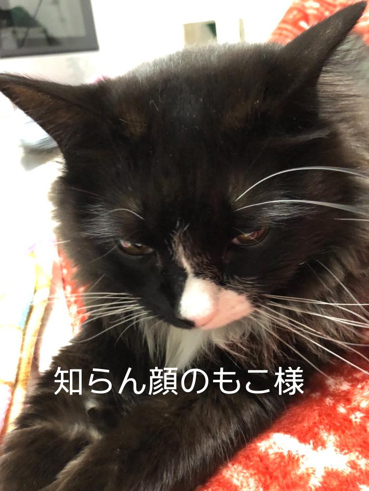 12/16(水)10:00〜【中能登町議会12月定例会議　一般質問】