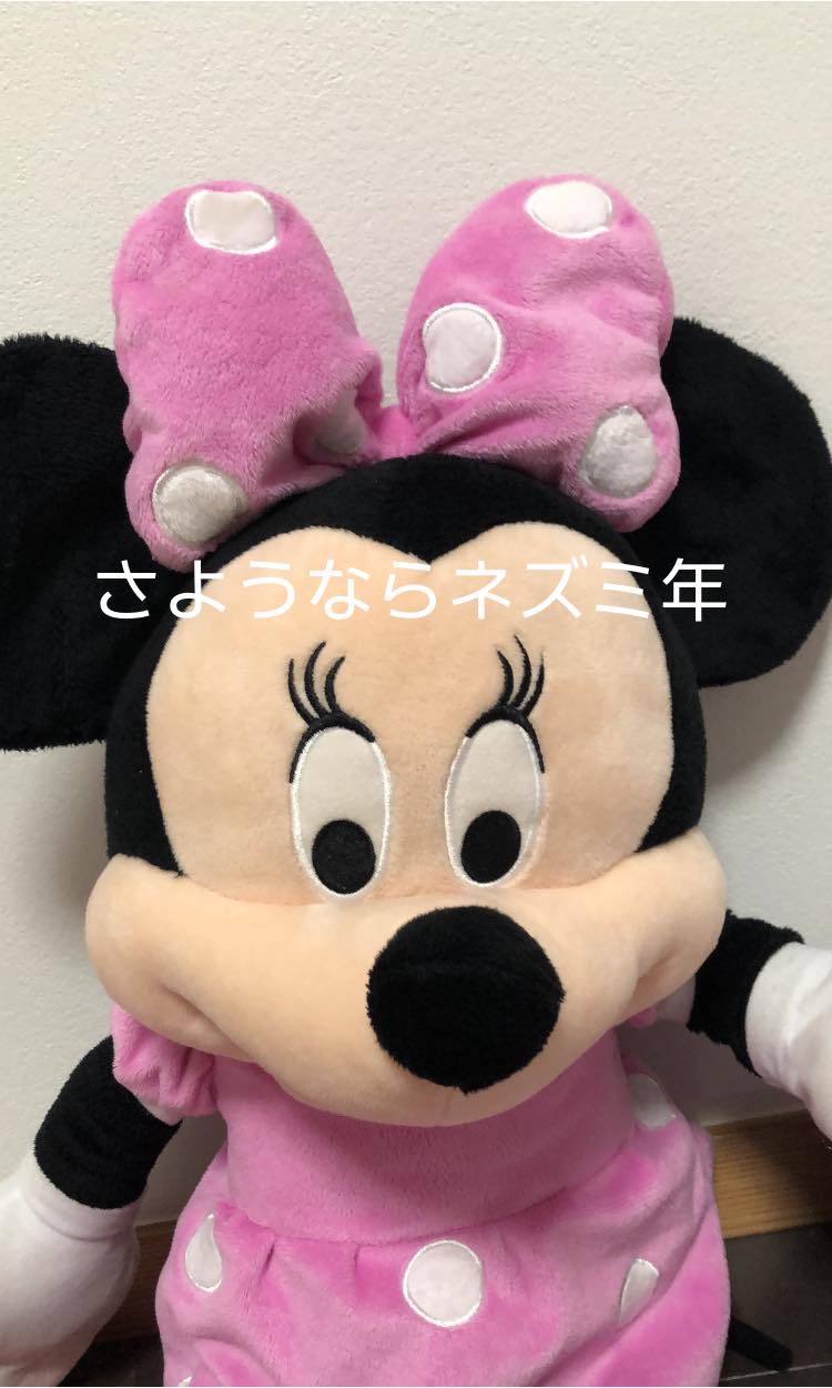 12/31(木)令和2年最後の日