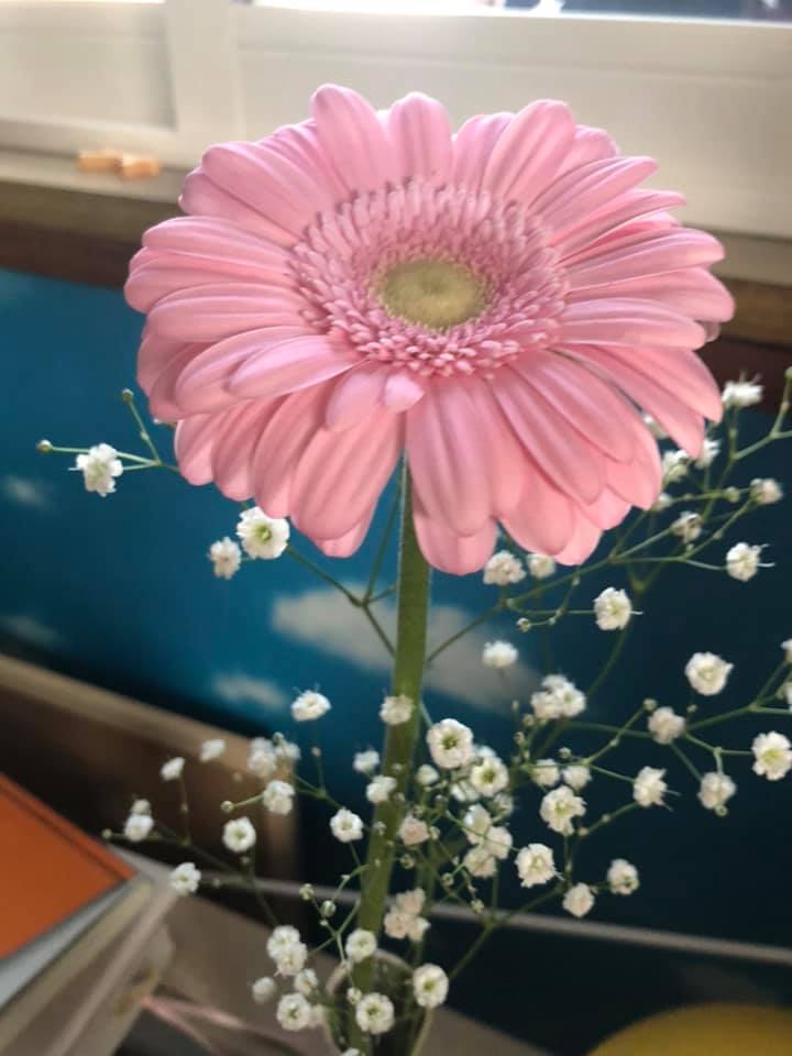 3/26(金)午前【全員協議会・3月随時会議】