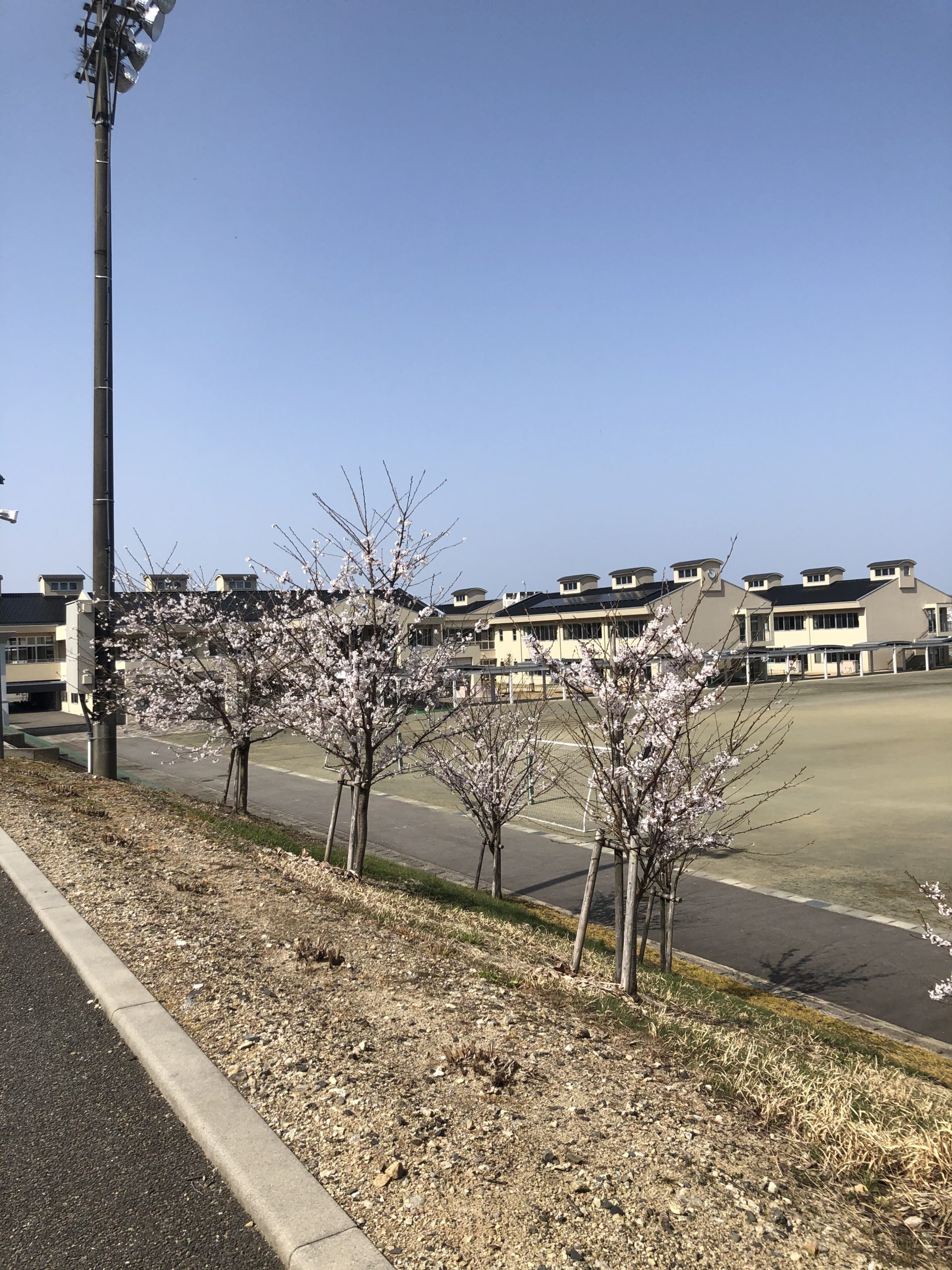 何年ぶりの雑巾縫い？！