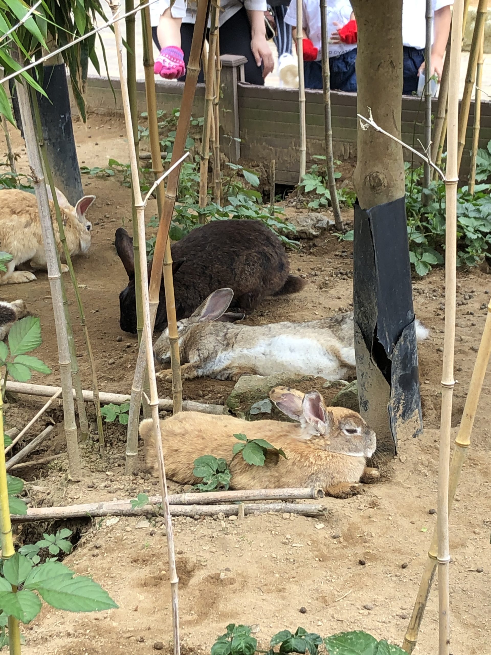 『改革と改善』