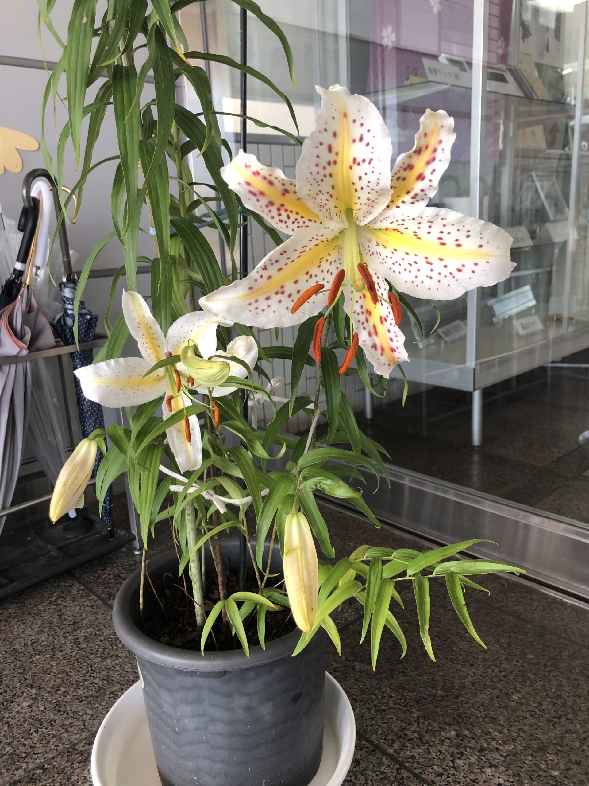 7月全員協議会&随時会議