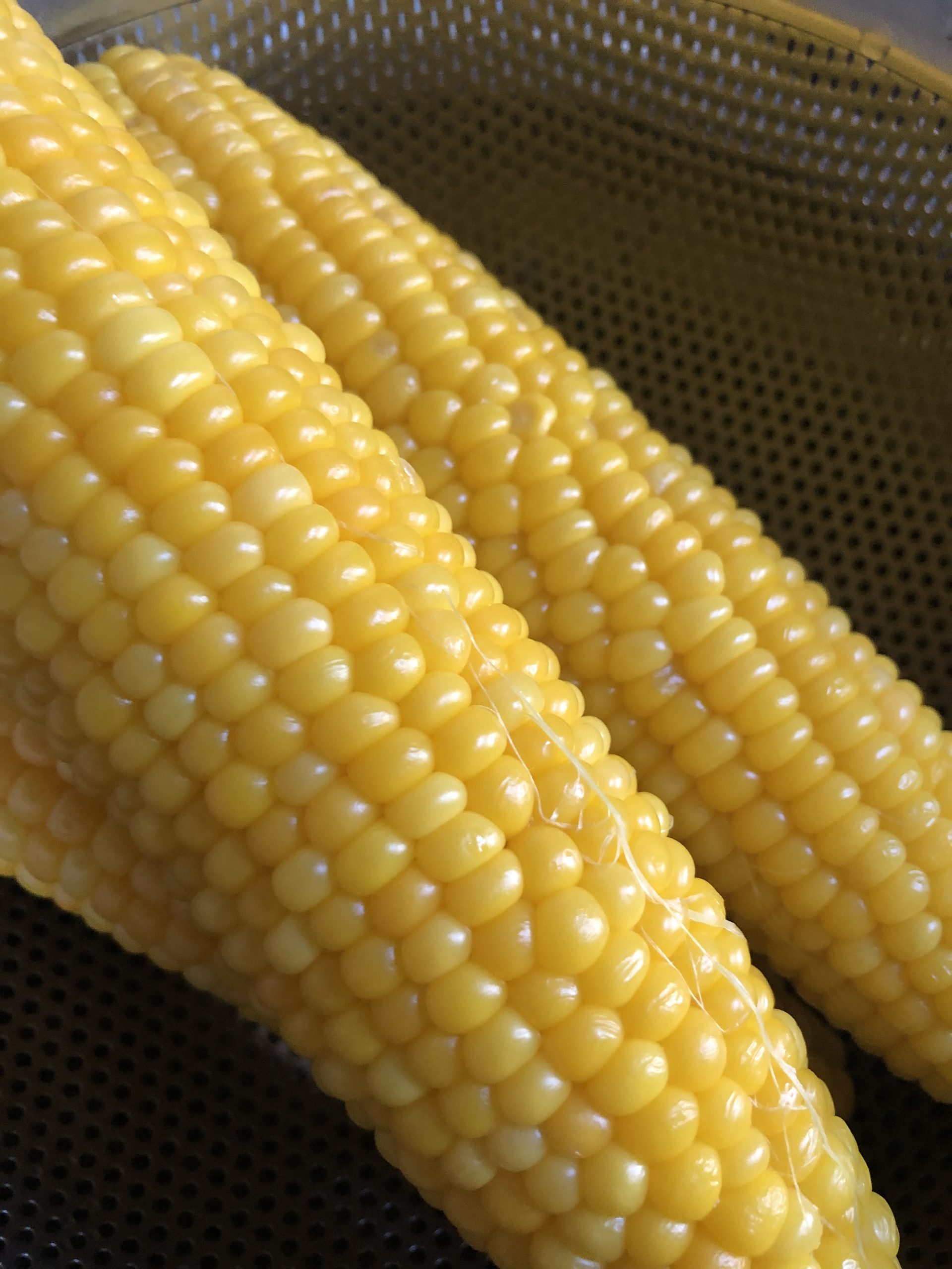 中能登産とうもろこし！🌽