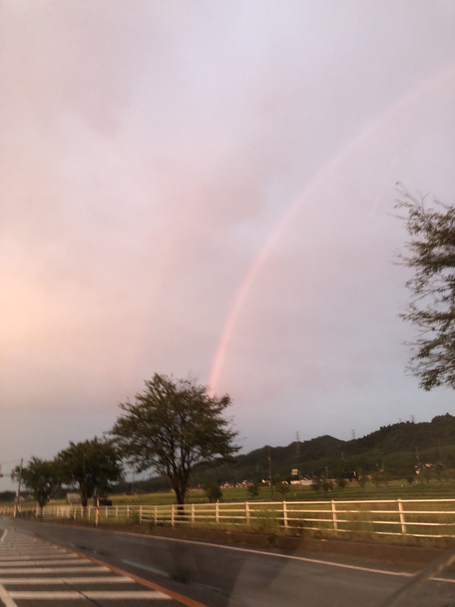 雨降って地固まる？