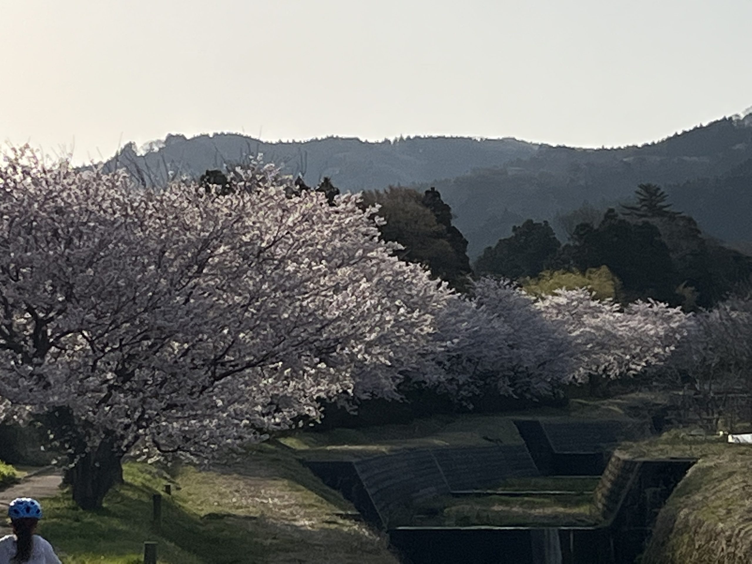 歓迎・改革委視察